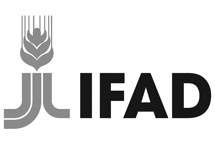 logotipo ifad