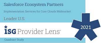 salesforce ecosystem partner